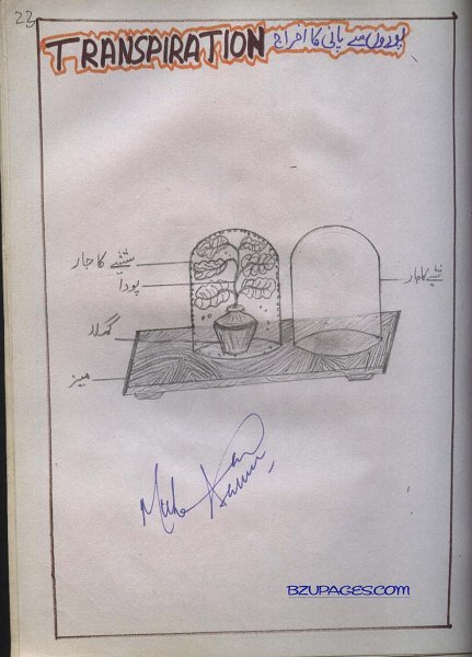 23 Transpiration (Podon main Paani ka ikhraj).jpg